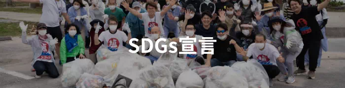 sdgs