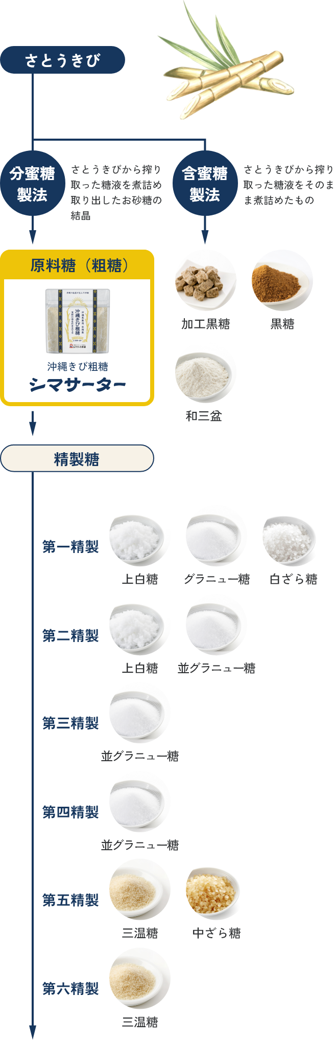 お砂糖の分類図