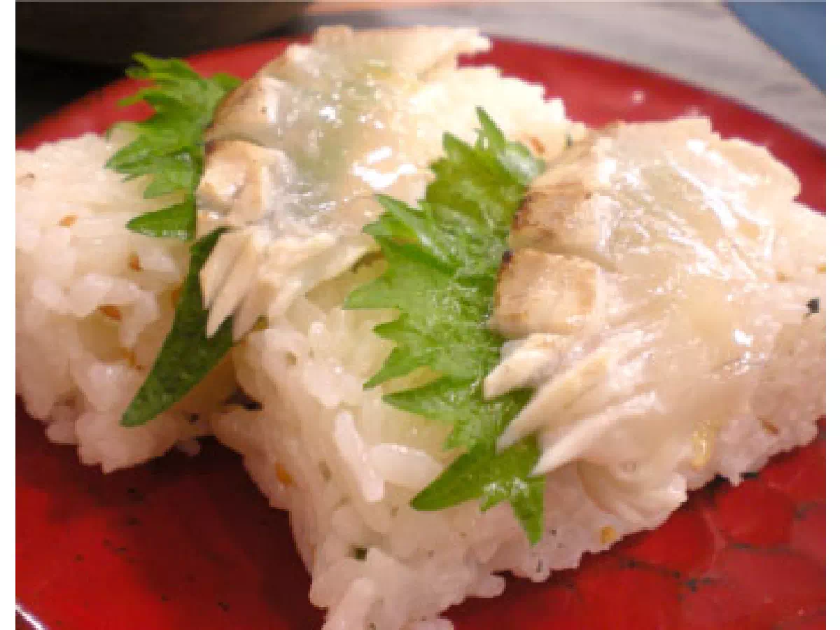 真鯛の炙り押し寿司